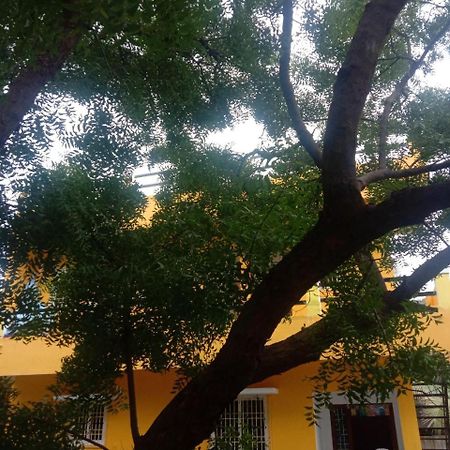 Thendral Hostel Monthly Rental Pondicherry Exteriör bild