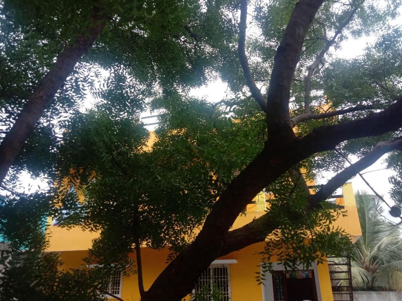 Thendral Hostel Monthly Rental Pondicherry Exteriör bild